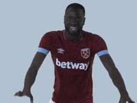 celebrating premier league GIF by West Ham United