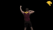 Tfxc GIF by CUCougars