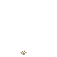hellopitto cat dog paw paw print Sticker