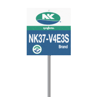 nkseeds_us corn harvest nk yield Sticker