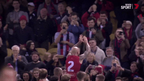 well done thank you GIF by Melbournefc