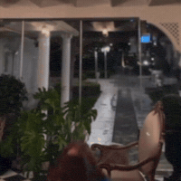 Zaraelbar GIF