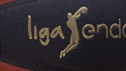 liga endesa basketball GIF by ACB
