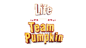 Happy Life Sticker by Team Pumpkin