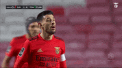 Confused Sl Benfica GIF by Sport Lisboa e Benfica