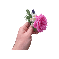 For You Summer Sticker