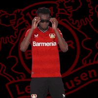 Eyes Sunglasses GIF by Bayer 04 Leverkusen