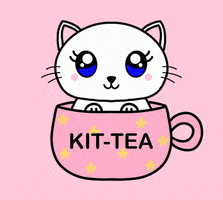 Cat Coffee GIF