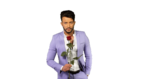 ich bin ein star domenico de cico Sticker by RTLde