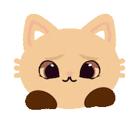 elistorycriativo cat cats gato felino Sticker