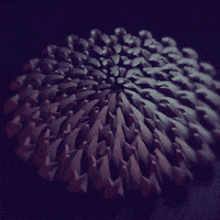 animation loop GIF by steamlog