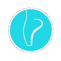 perfectfitpointe ballet ballerina pf pointe Sticker