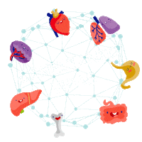 julimfons corazon scout hueso pulmones Sticker