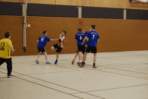 HSGLiGra handball hsg lilienthal grasberg GIF