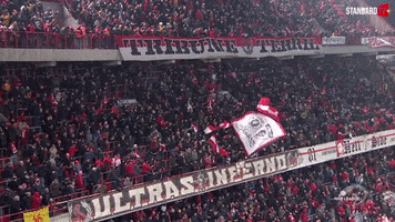 Football Fans GIF by Standard de Liège