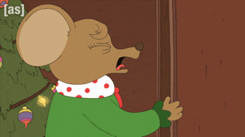 Australia Yolo GIF by Adult Swim