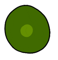 Fruto Pequi Sticker by wrsartist