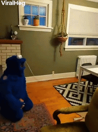 Cookie Monster Costume Confuses Dog