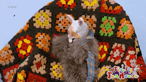 scared oh no GIF by WWE