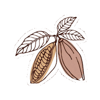 Cacao Sticker by raw chocolatier