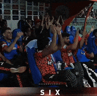 Ipl Sunrisershyderabad GIF