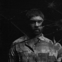 Bison GIF by Think Music