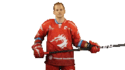 Ice Hockey Sticker Sticker by HC Oceláři Třinec