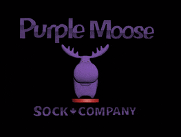 PurpleMooseSockCo moose purplemoosesocks mooselow GIF