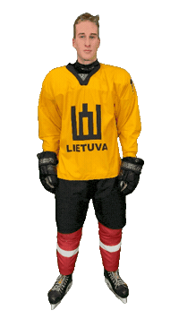 Hockeylietuva Sticker by ledoritulys.lt