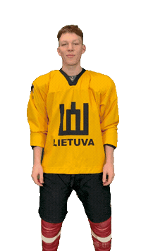 Hockeylietuva Sticker by ledoritulys.lt