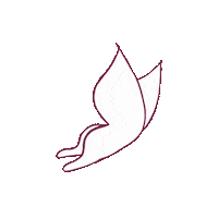 altamedinet white look butterfly attention Sticker