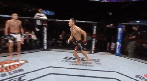ufc 206 holloway GIF