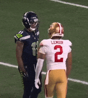 Seattle Seahawks Football GIF