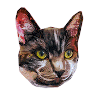 art__by__rey art kitty abstract pet Sticker