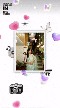 Butterfly Saree GIF