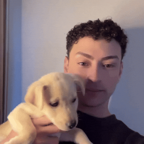 Dog Love GIF by Dylan Bounce