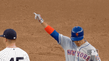 hang loose ny mets GIF by New York Mets