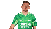 Celebrate Aaron Ramsdale Sticker by Arsenal