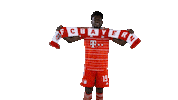 Football Sport Sticker by FC Bayern Munich