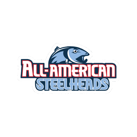 AllAmericanBaseball giphyupload allamericanbaseball allamericansteelheads coachcharlie Sticker