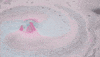 lush cosmetics bath GIF by Lush