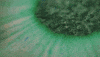 lush cosmetics bath GIF by Lush