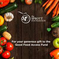 GIF by Community Food Centres Canada