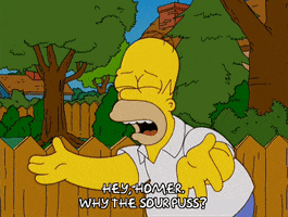 homer simpson episode 3 GIF