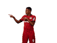Bayer 04 Bailey Sticker by Bayer 04 Leverkusen