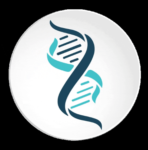 Segmedic giphygifmaker segmedic segmedicsaude GIF