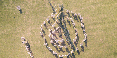Ring Around The Rosie GIF by A24