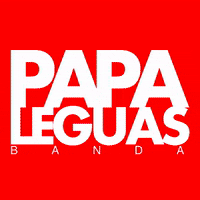 bandapapaleguas carnaval bell axe bahia GIF