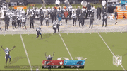 Carolina Panthers Football GIF by NFL