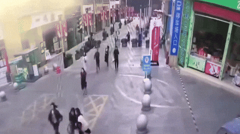 yj_jane giphyupload GIF